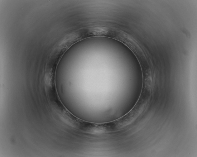 X0000115840604200911131532