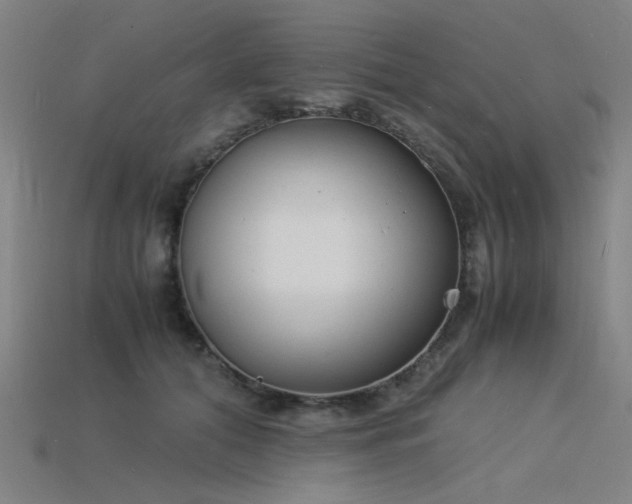 X0000115840608200911131532