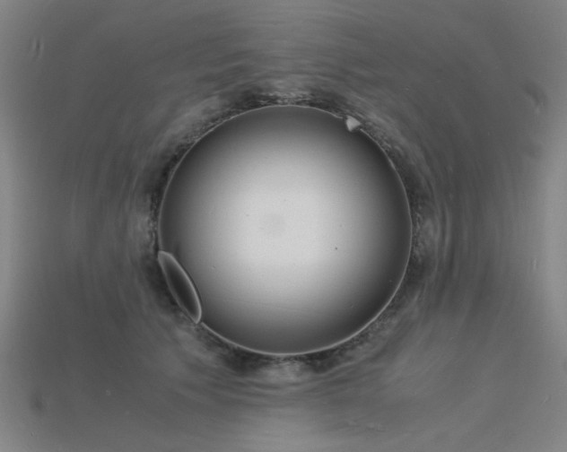 X0000115840609200911131532