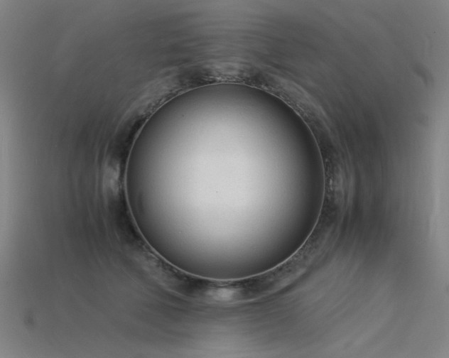 X0000115840610200911131532