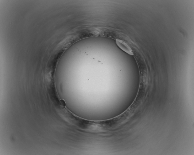 X0000115840611200911131532