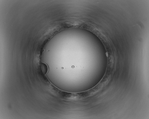X0000115840612200911131532
