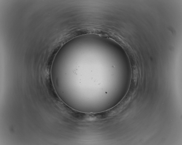 X0000115840613200911131532