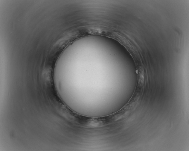 X0000115840616200911131532