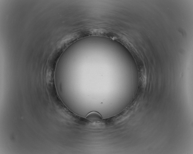 X0000115840619200911131532