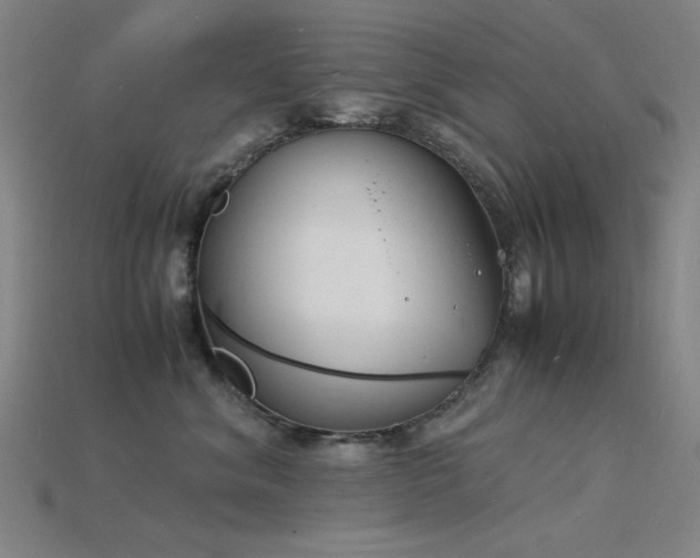 X0000115840620200911131532