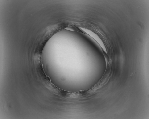 X0000115840621200911131532