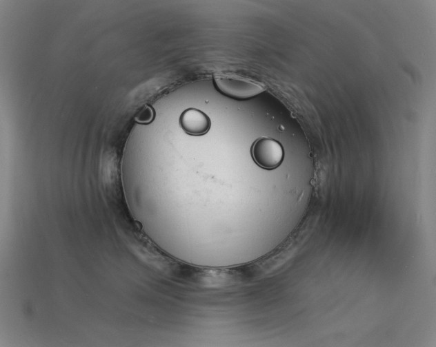 X0000115840623200911131532