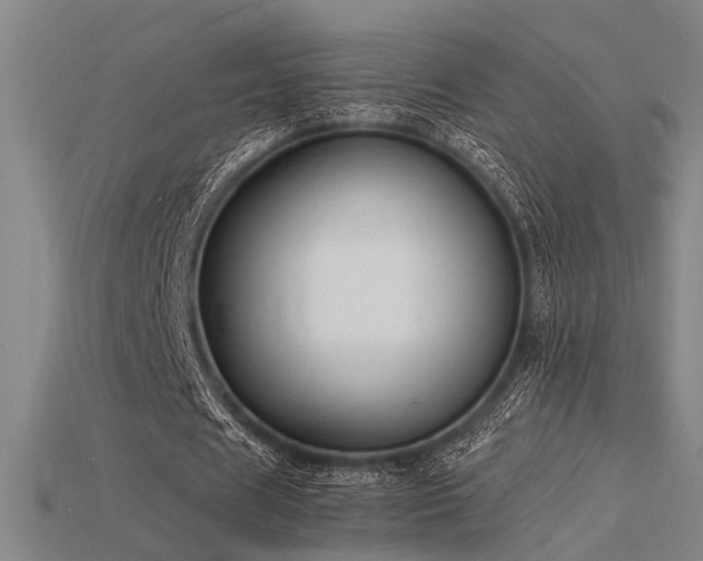 X0000115840625200911131531