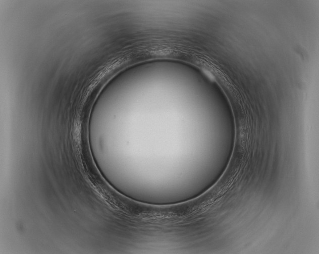 X0000115840626200911131531