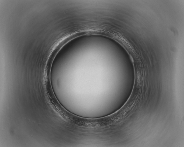 X0000115840628200911131531