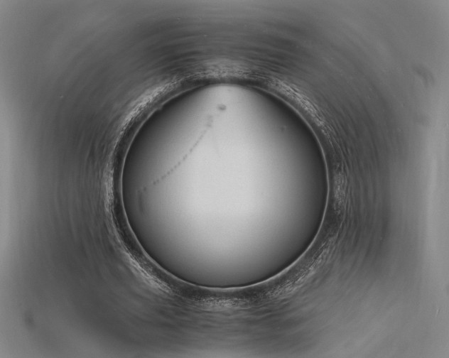 X0000115840629200911131531