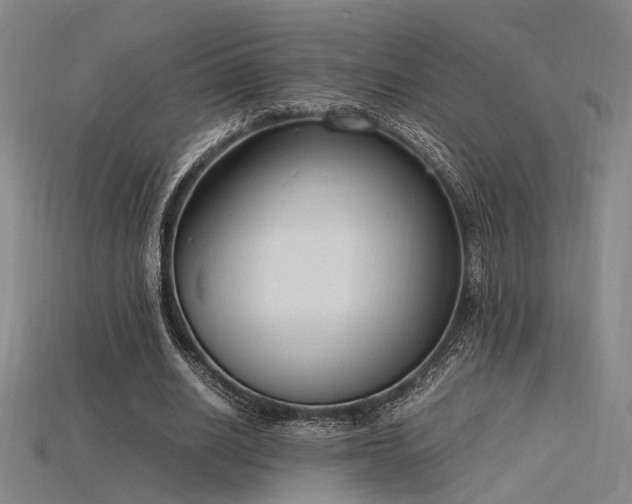 X0000115840630200911131531