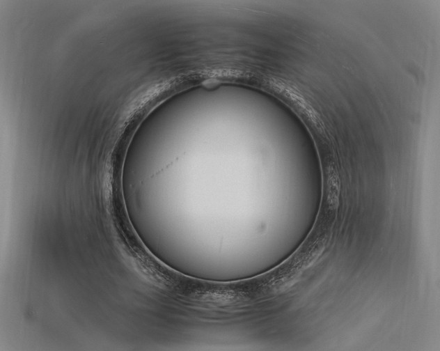 X0000115840631200911131531