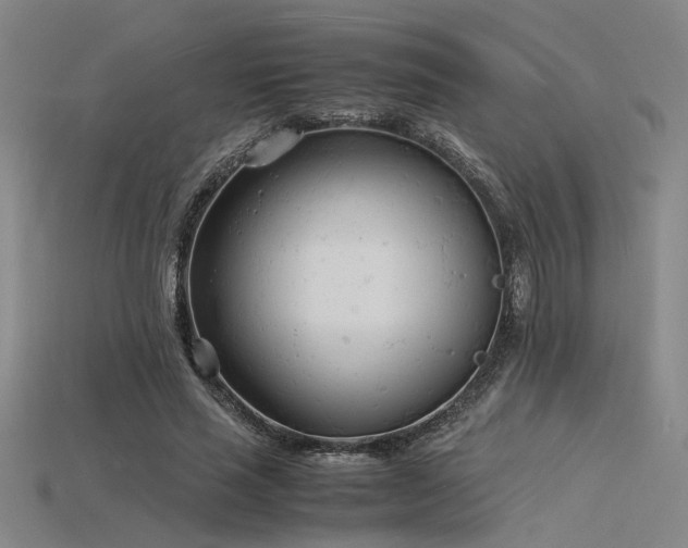 X0000115840637200911131531