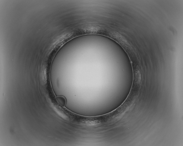 X0000115840638200911131531