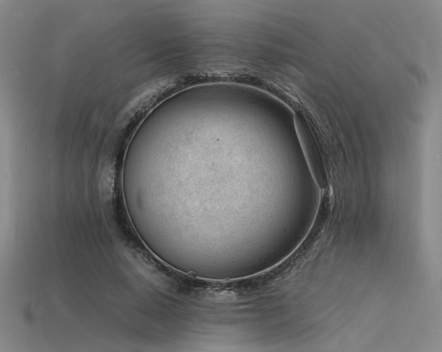 X0000115840640200911131531