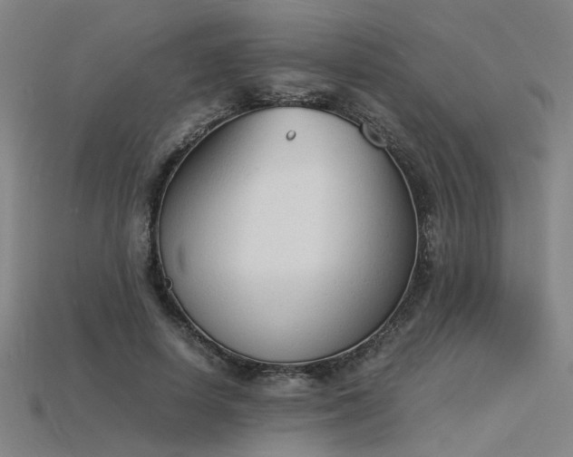 X0000115840642200911131531