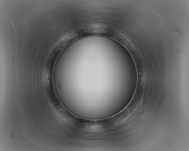 X0000115840643200911131531