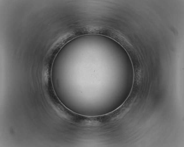 X0000115840644200911131531