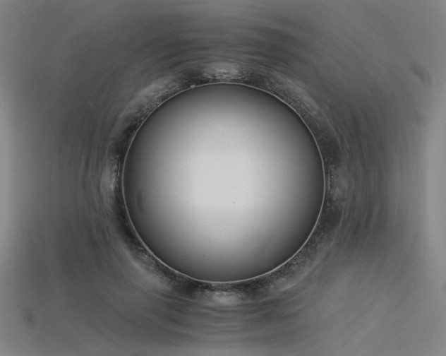 X0000115840645200911131532