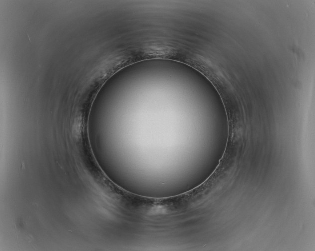 X0000115840647200911131532