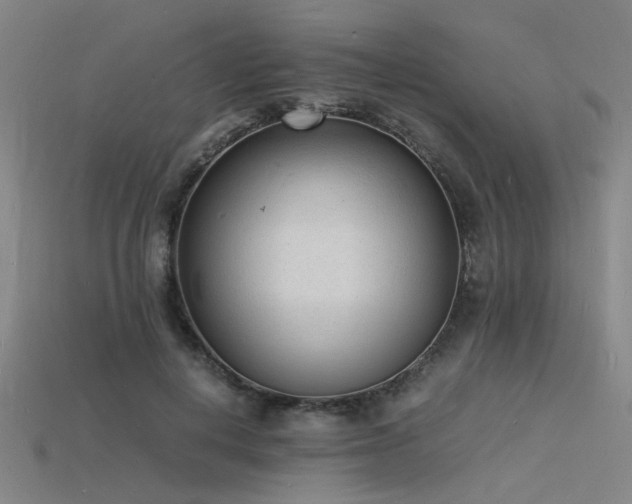 X0000115840648200911131532