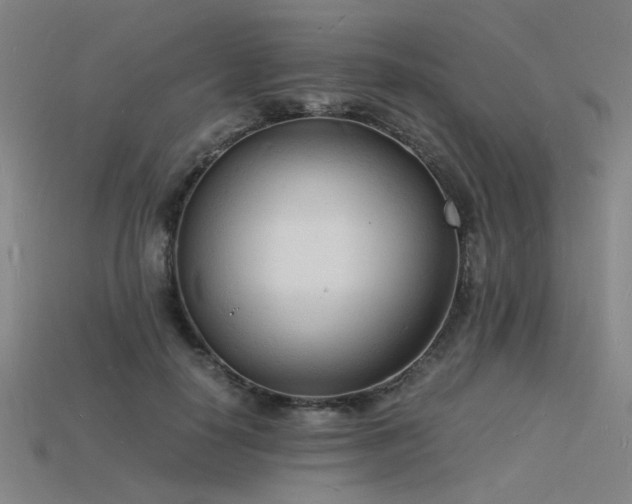 X0000115840650200911131532