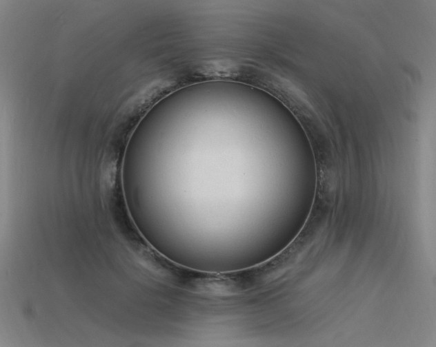 X0000115840652200911131532