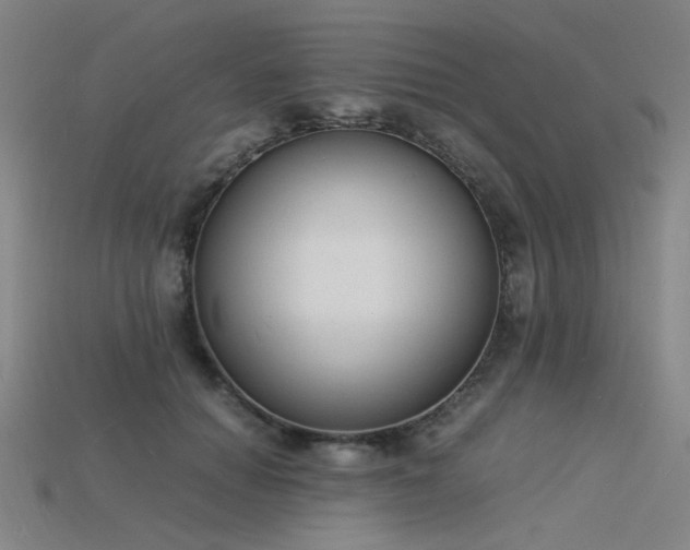 X0000115840654200911131532