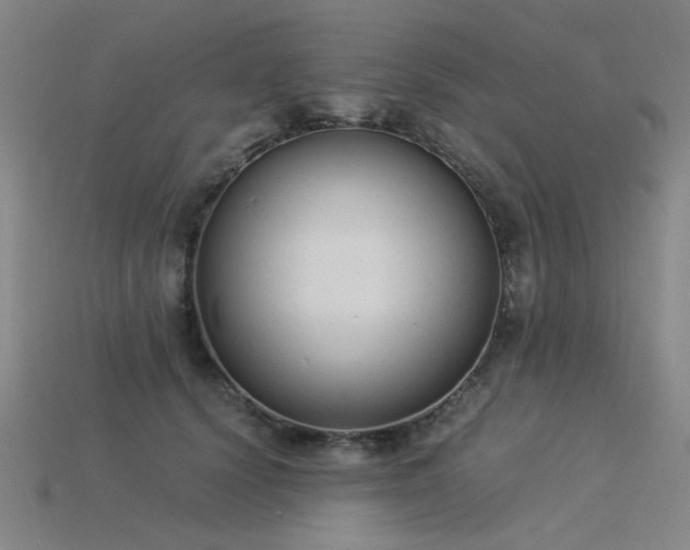 X0000115840656200911131532