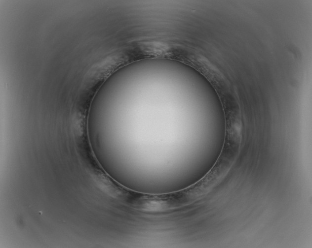 X0000115840658200911131532