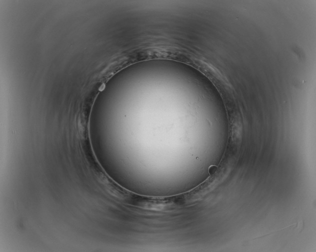 X0000115840661200911131532