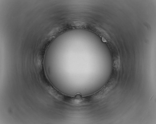 X0000115840662200911131532