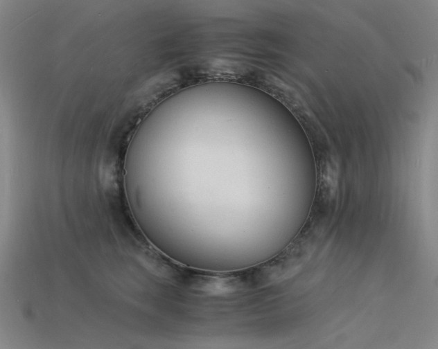 X0000115840663200911131532