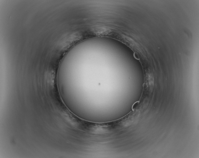 X0000115840664200911131532