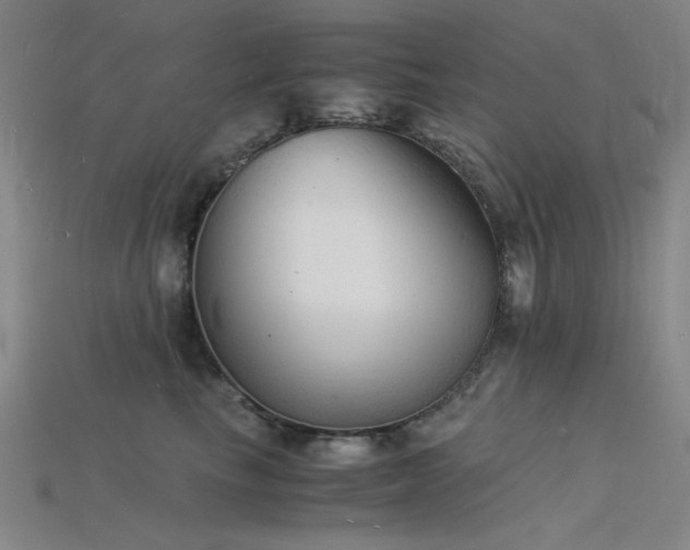 X0000115840665200911131532