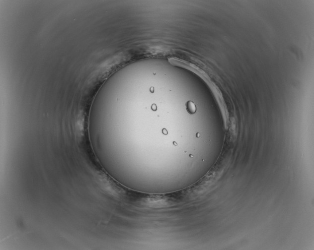 X0000115840668200911131532