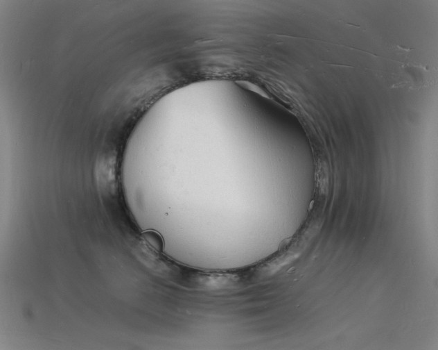 X0000115840670200911131532