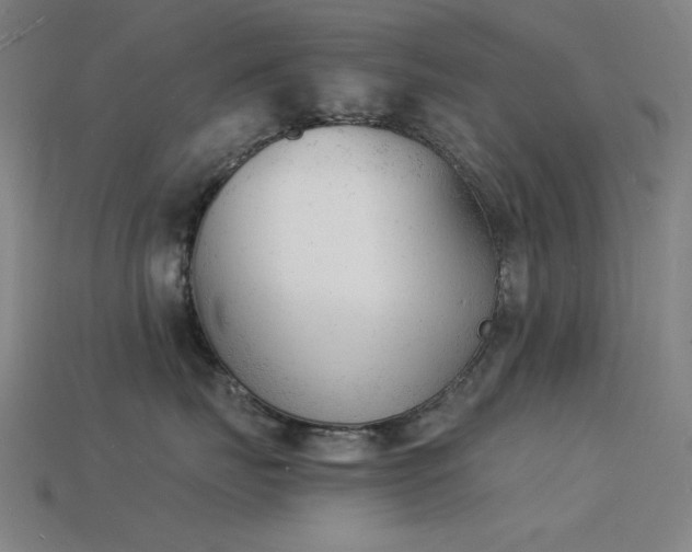 X0000115840671200911131532