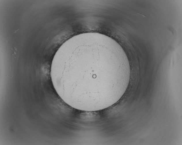 X0000115840672200911131532