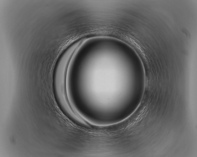 X0000115840673200911131531