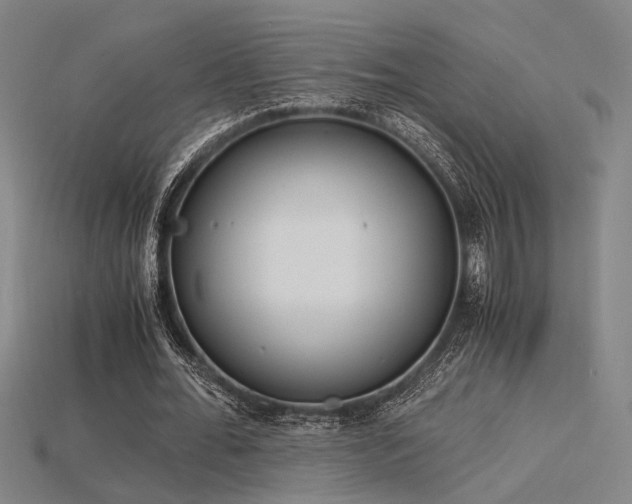 X0000115840676200911131531