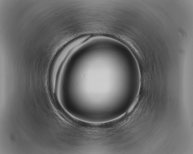 X0000115840677200911131531