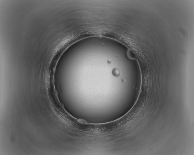 X0000115840679200911131531