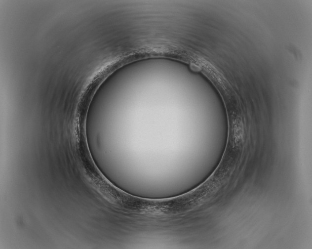 X0000115840680200911131531