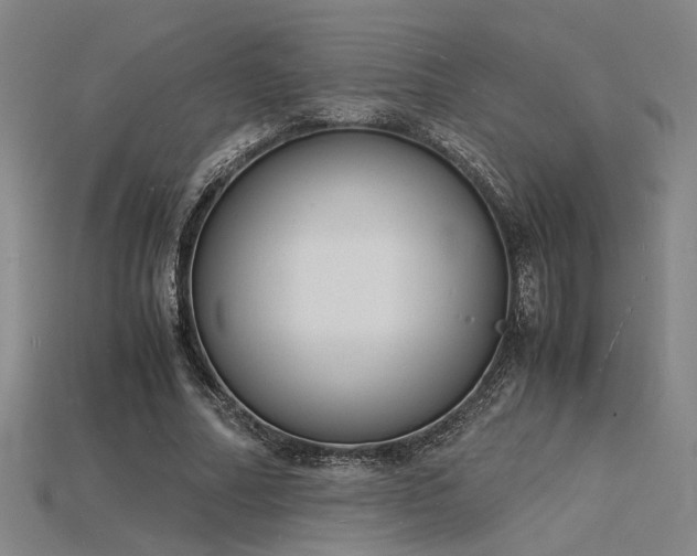 X0000115840682200911131531