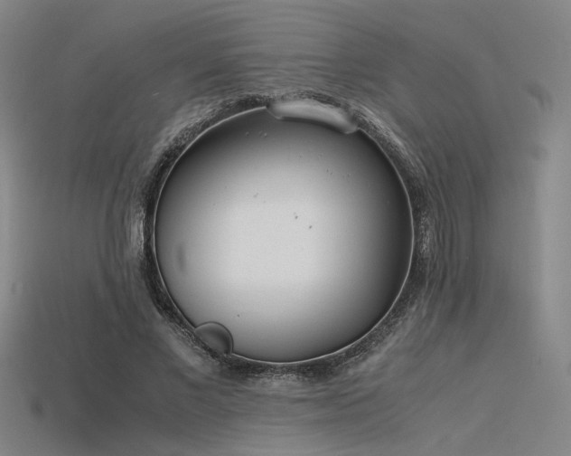 X0000115840685200911131531