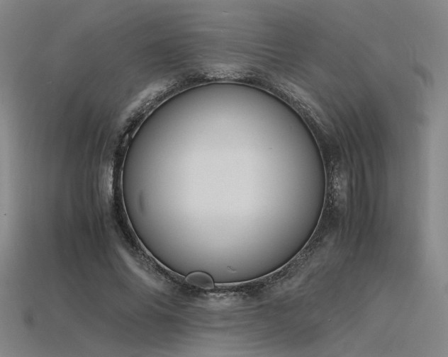 X0000115840686200911131531