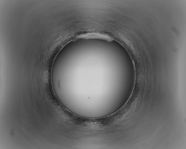 X0000115840689200911131531